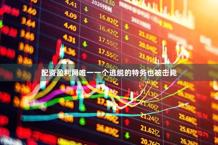 配资盈利网唯一一个逃脱的特务也被击毙